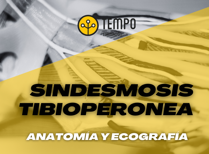sindesmosis-tibioperonea-y-ecografia